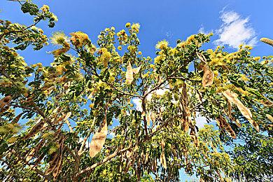 小岛工作室搬离使用5年的原东京地区办公室